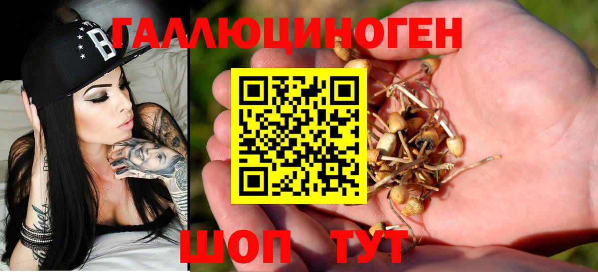 Галлюциногенные грибы прущие грибы Дзержинский